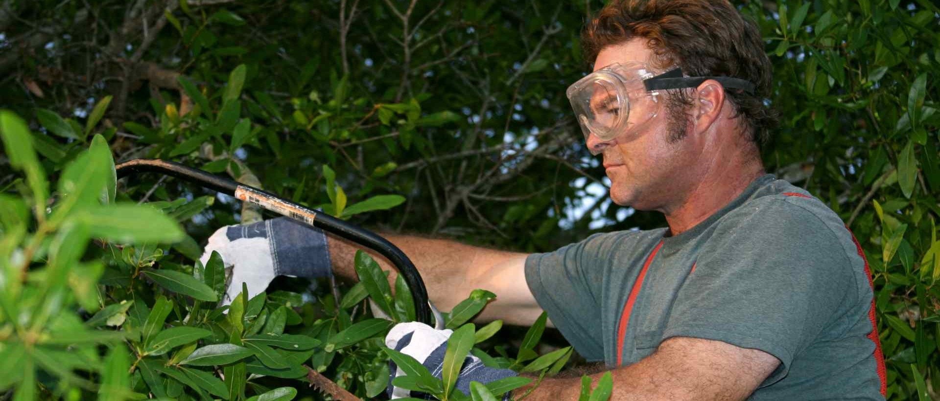 garden clearance HA3